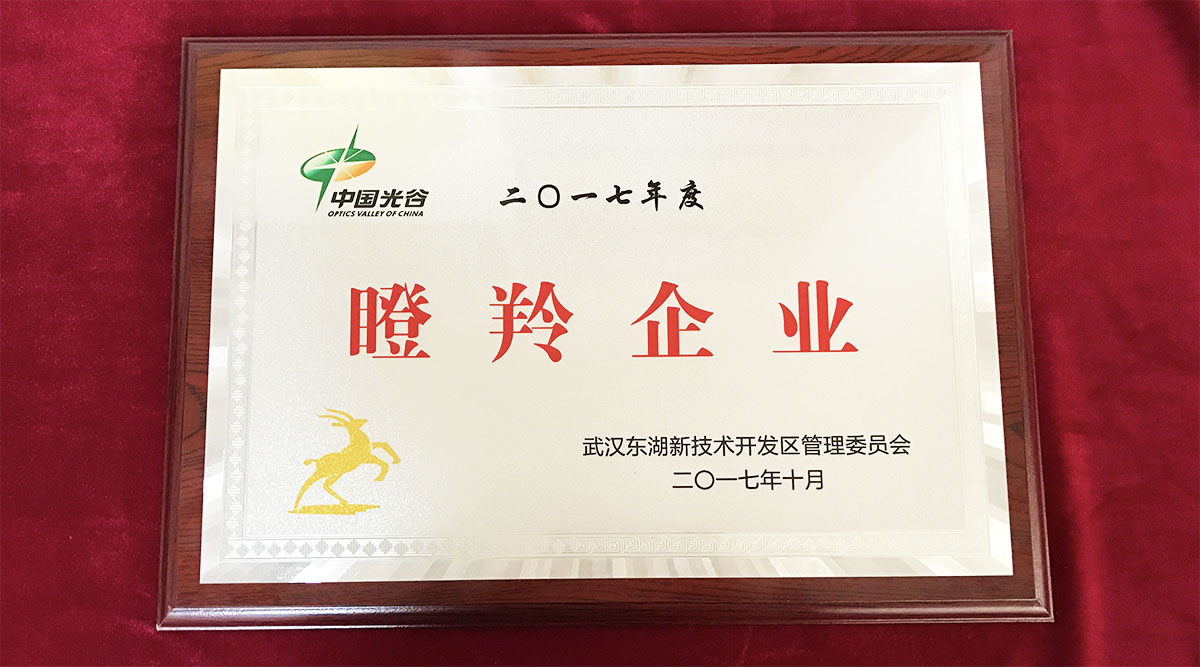 祝賀武漢邁信電氣技術(shù)有限公司榮獲中國光谷2017年度“瞪羚企業(yè)”！